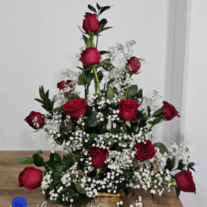 Enchanted- Frontal One Dozen Roses Arrangement