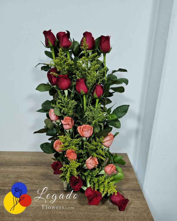 Radiant Roses- Hand Crafted 20 Rose Arrangement
