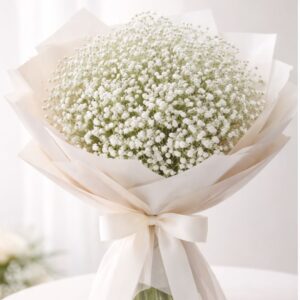 Pure Baby’s Breath Bouquet
